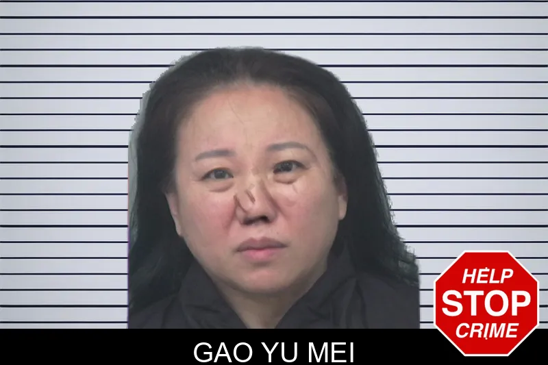 Gao Yu Mei mugshot – Gwinnett County , Georgia Gao Yu Mei mugshot