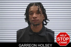 Garreon Holsey mugshot