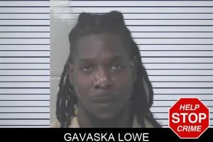 Gavaska Lowe mugshot