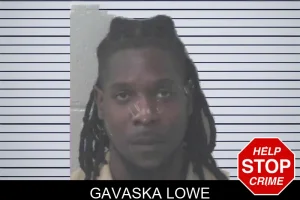 Gavaska Lowe mugshot