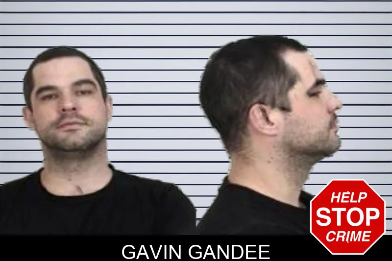 Gavin Gandee mugshot – Camden County , Georgia Gavin Gandee mugshot