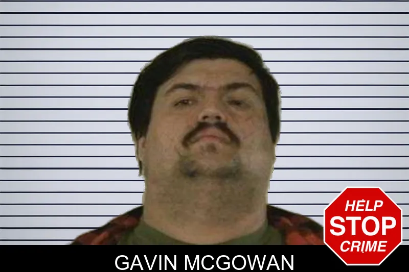 Gavin McGowan mugshot