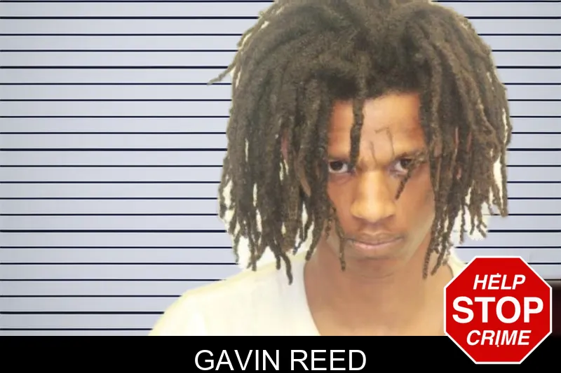 Gavin Reed mugshot – Chatham County , Georgia Gavin Reed mugshot