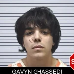 Gavyn Ghassedi mugshot