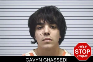 Gavyn Ghassedi mugshot