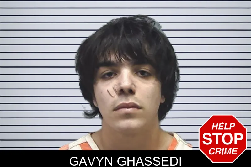 Gavyn Ghassedi mugshot