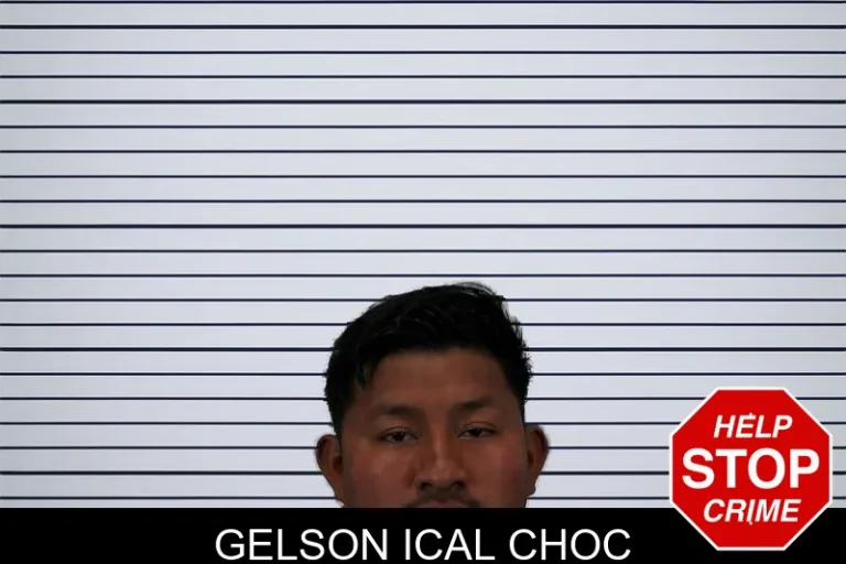 Gelson Ical Choc