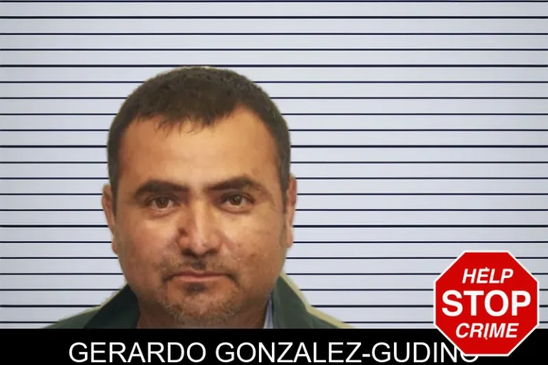 Gerardo Gonzalez-Gudino