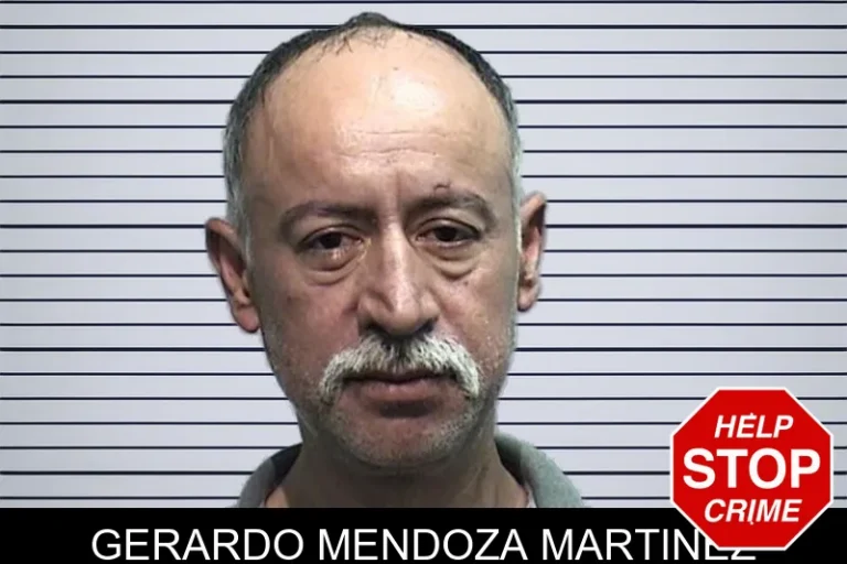 Gerardo Mendoza Martinez
