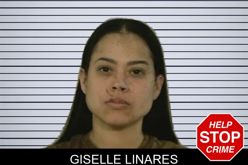 Giselle Linares mugshot