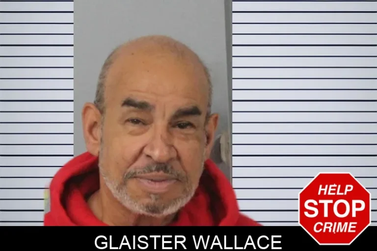 Glaister Wallace mugshot – Mcintosh County , Georgia Glaister Wallace