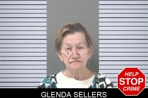 Glenda Sellers mugshot
