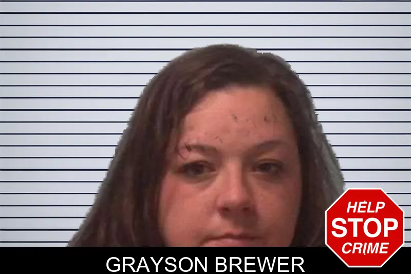 Grayson Brewer mugshot – Franklin County , Georgia Grayson Brewer mugshot