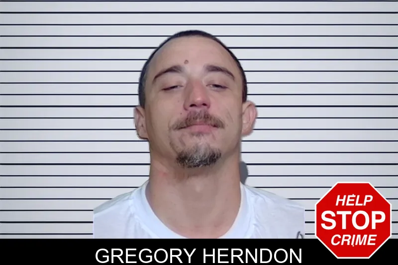 Gregory Herndon mugshot