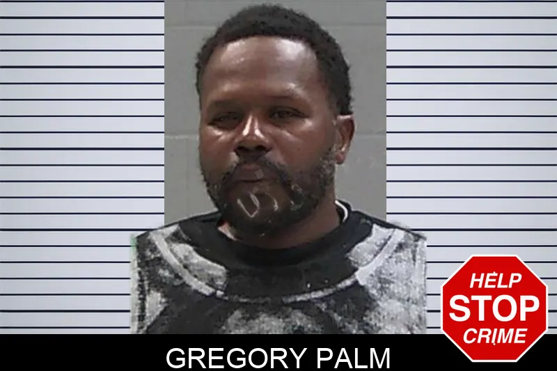 Gregory Palm mugshot