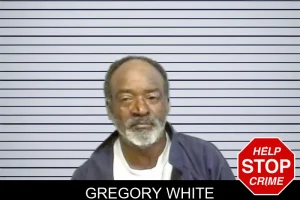 Gregory White mugshot