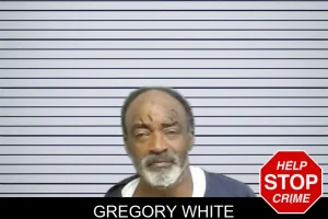 Gregory White mugshot
