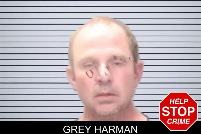 Grey Harman