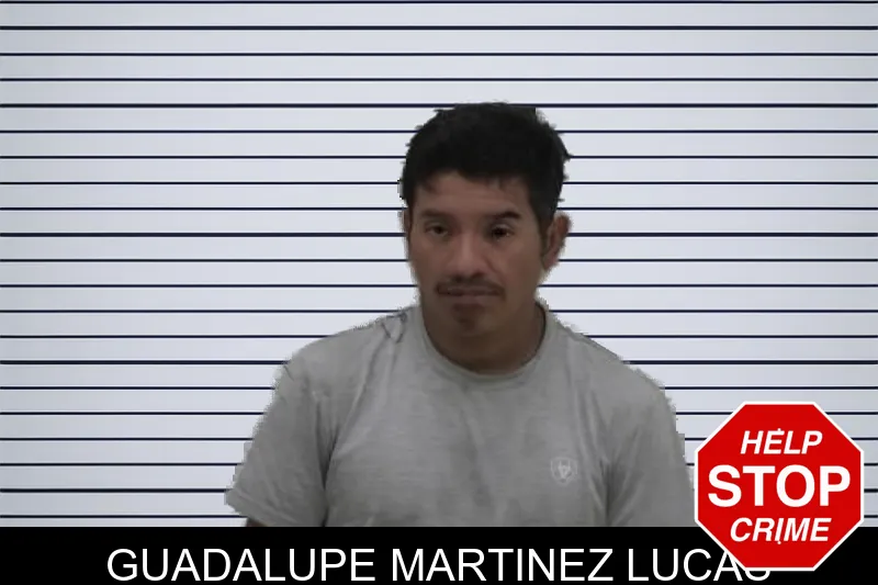 Guadalupe Martinez Lucas mugshot