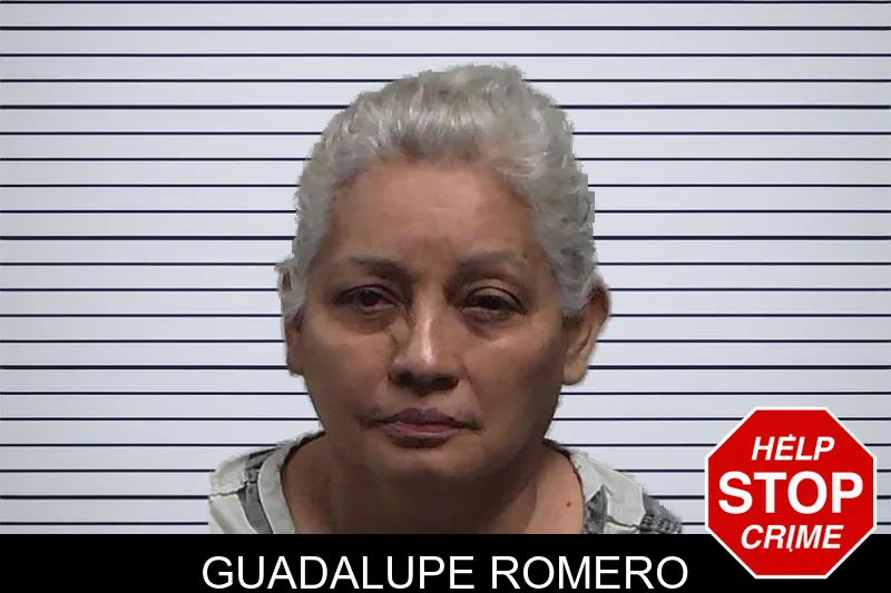 Guadalupe Romero mugshot – Tift County , Georgia Guadalupe Romero mugshot