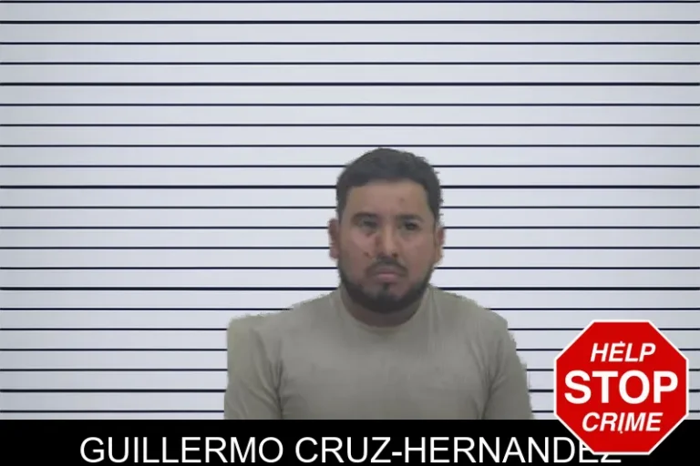 Guillermo Cruz-Hernandez