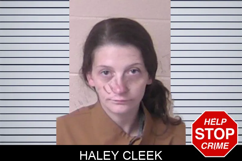 Haley Cleek mugshot – Walker County , Georgia Haley Cleek mugshot