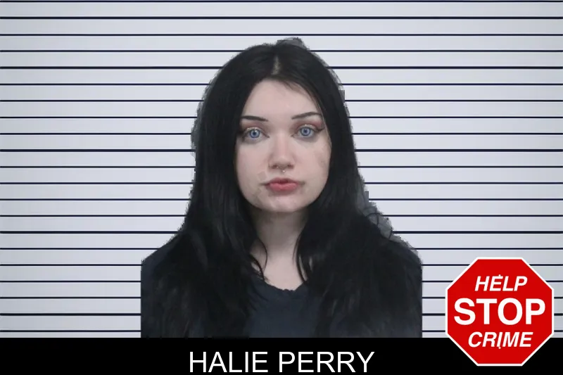 Halie Perry mugshot – Catoosa County , Georgia Halie Perry mugshot