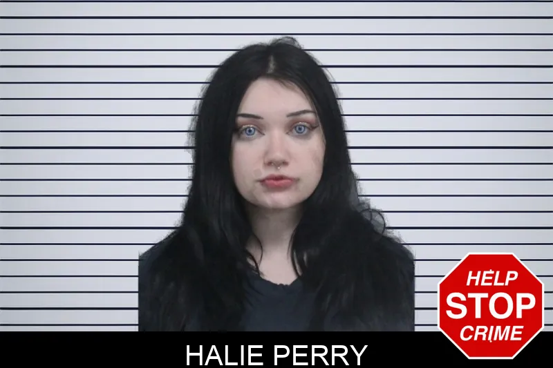 Halie Perry mugshot