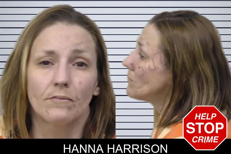 Hanna Harrison mugshot