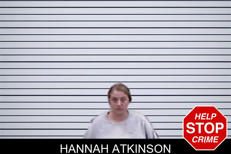 Hannah Atkinson mugshot – Screven County , Georgia Hannah Atkinson mugshot