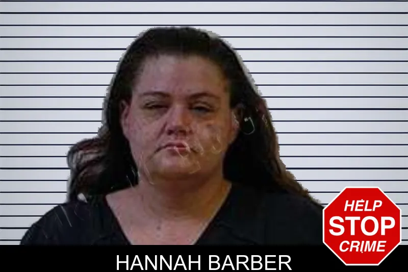 Hannah Barber mugshot