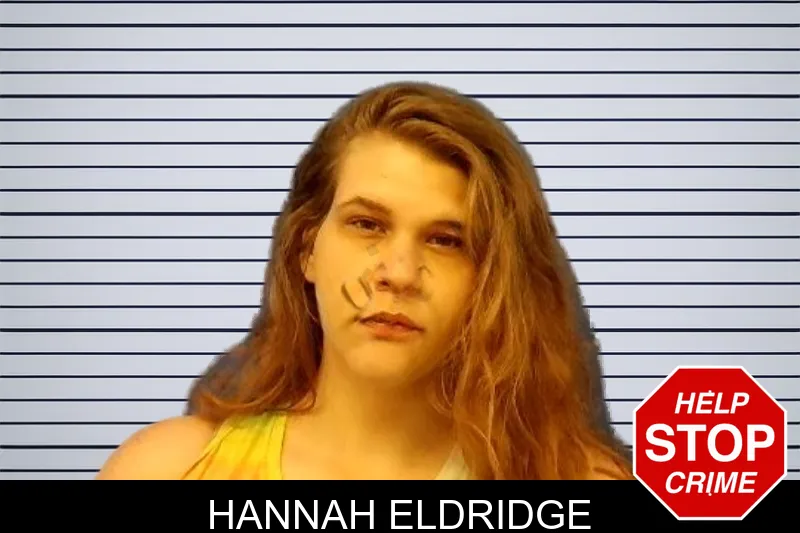 Hannah Eldridge mugshot