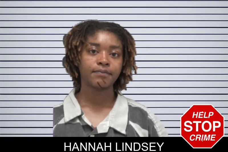 Hannah Lindsey mugshot