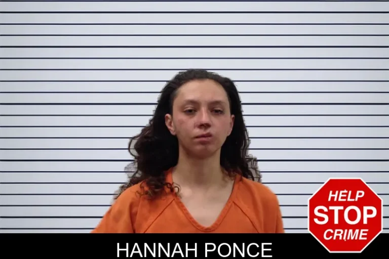 Hannah Ponce mugshot – Pickens County , Georgia Hannah Ponce