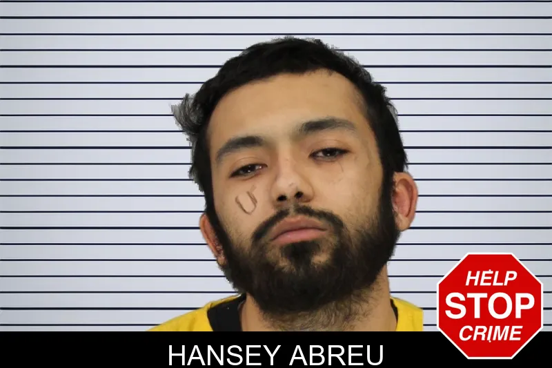 Hansey Abreu mugshot