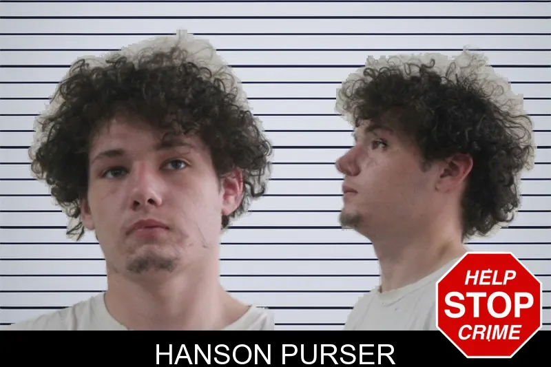 Hanson Purser mugshot