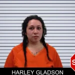 Harley Gladson mugshot