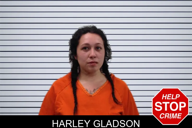 Harley Gladson mugshot