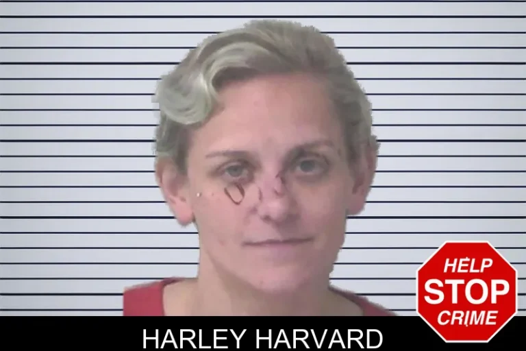 Harley Harvard