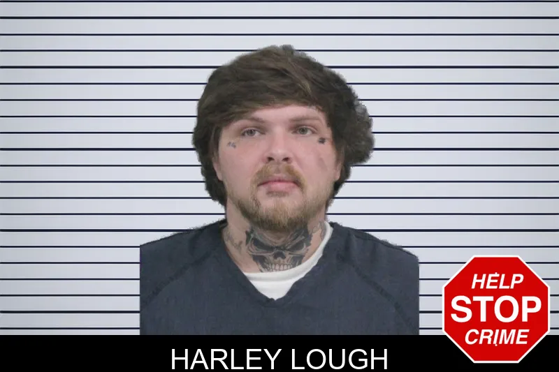 Harley Lough mugshot