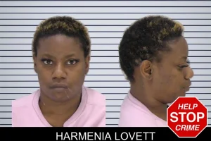 Harmenia Lovett mugshot