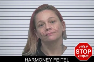 Harmoney Feitel mugshot