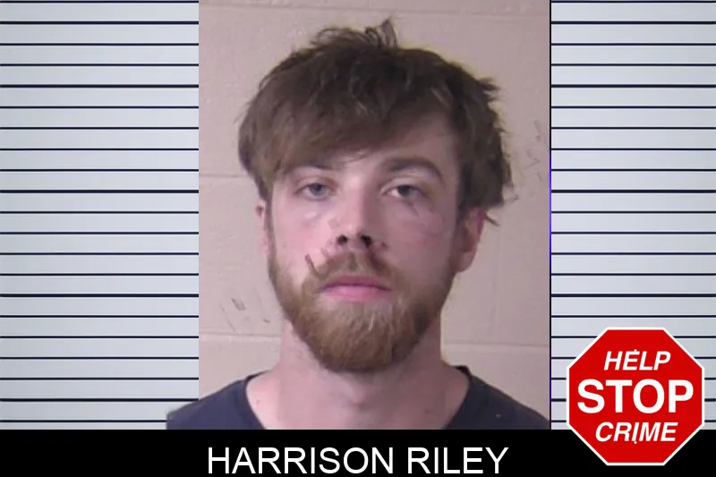 Harrison Riley mugshot