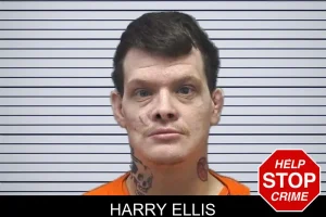Harry Ellis mugshot