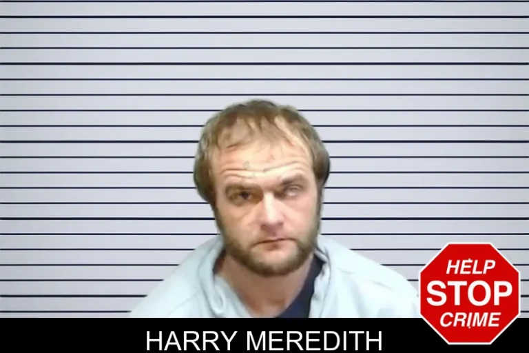 Harry Meredith