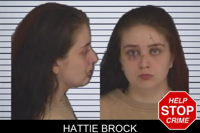Hattie Brock mugshot – Barrow County , Georgia Hattie Brock