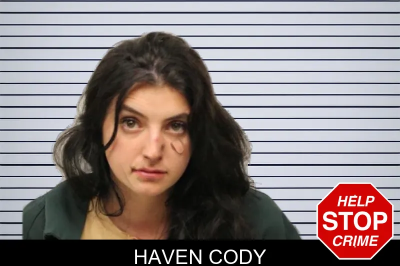 Haven Cody mugshot – Chatham County , Georgia Haven Cody mugshot