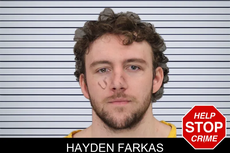 Hayden Farkas mugshot