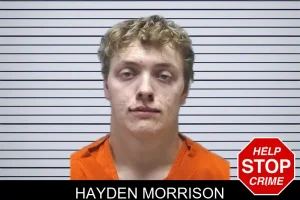 Hayden Morrison mugshot