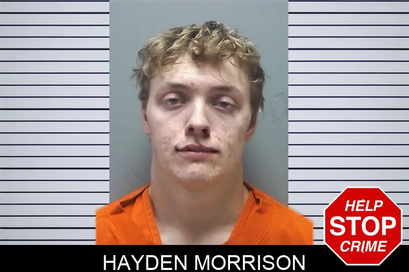 Hayden Morrison mugshot